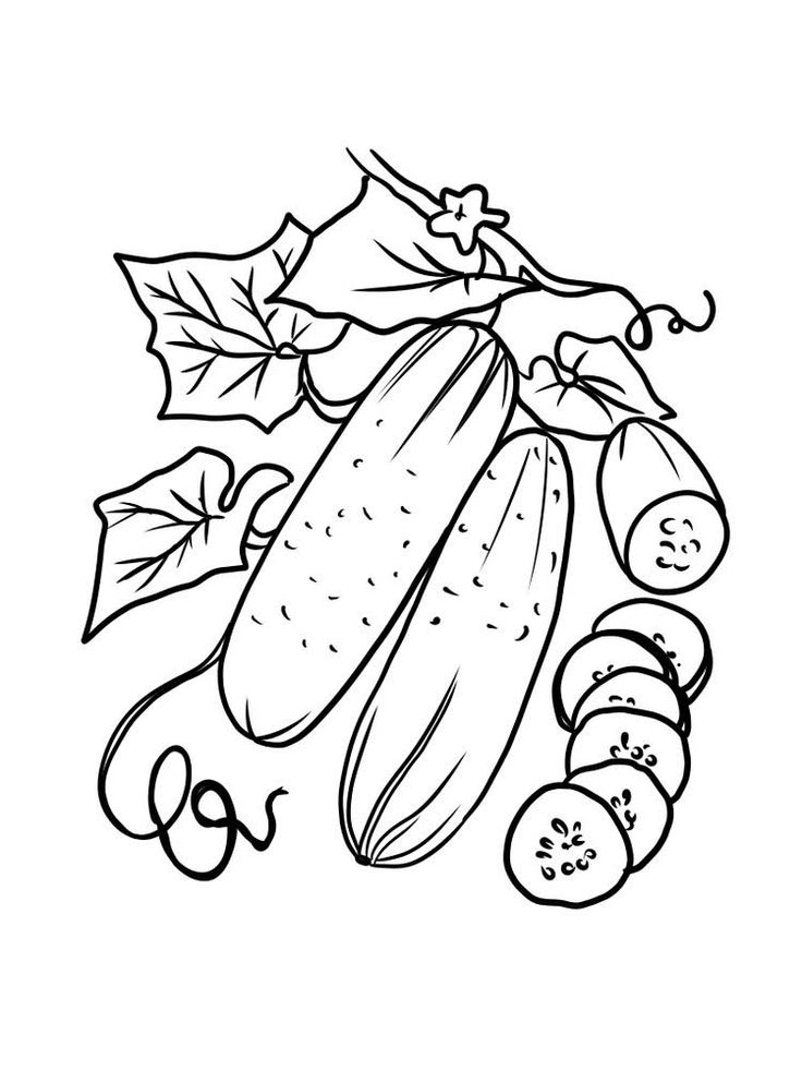 cucumber coloring page