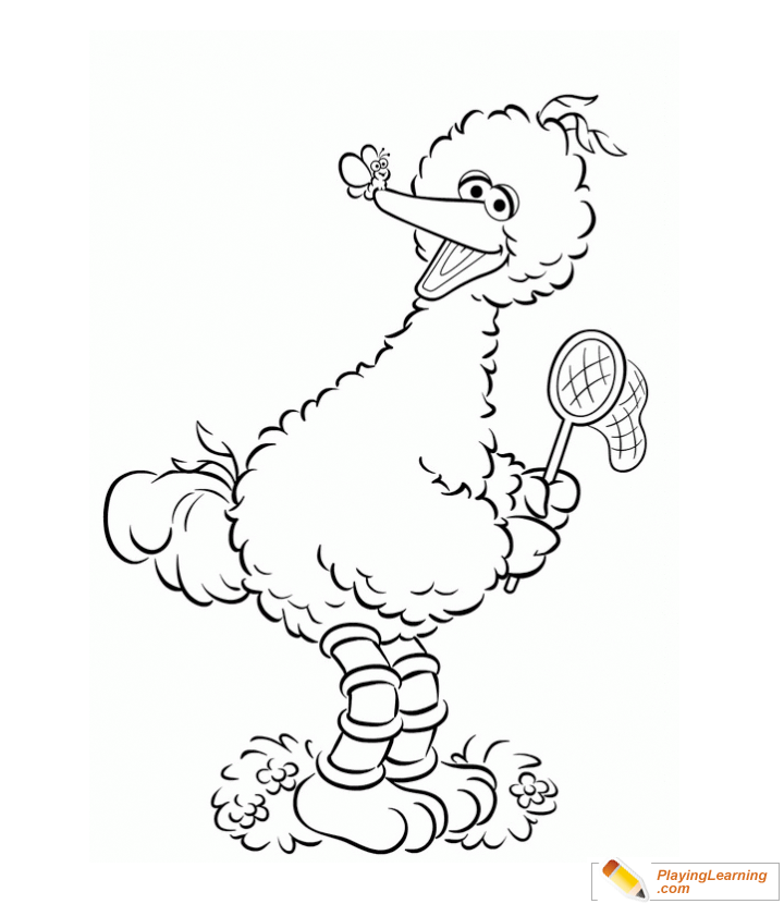 big bird coloring page