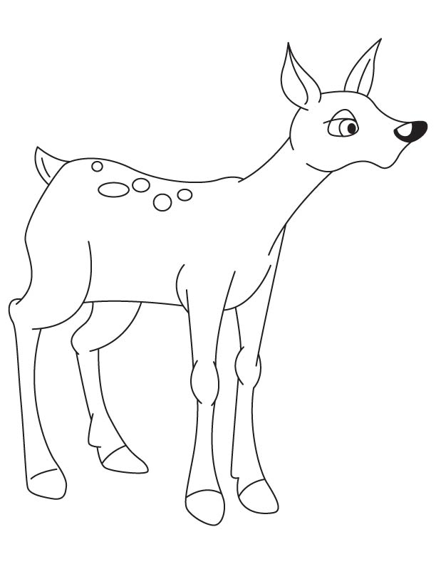 fawn coloring pages