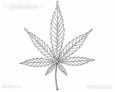 weed coloring pages printable