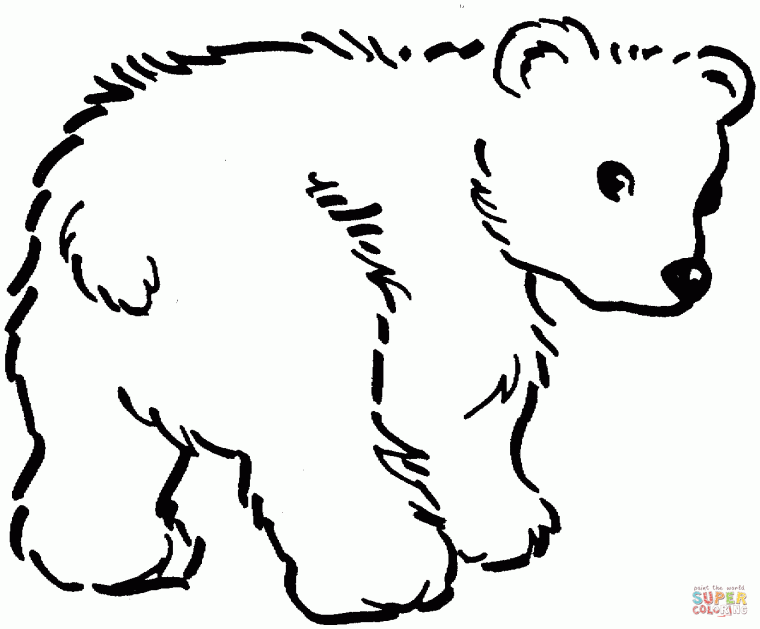 brown bear brown bear coloring page