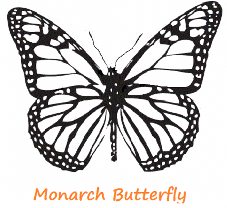 monarch coloring pages