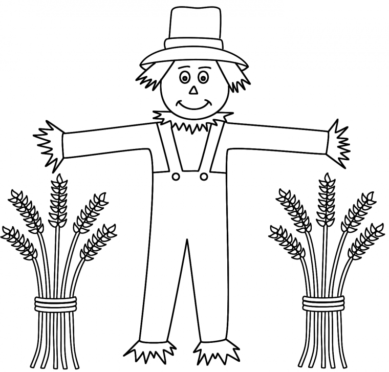 wheat coloring page