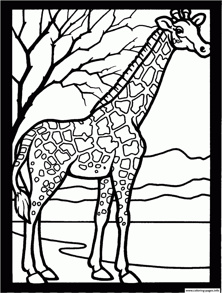 african animal coloring pages