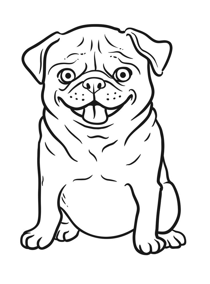 realistic pug coloring pages