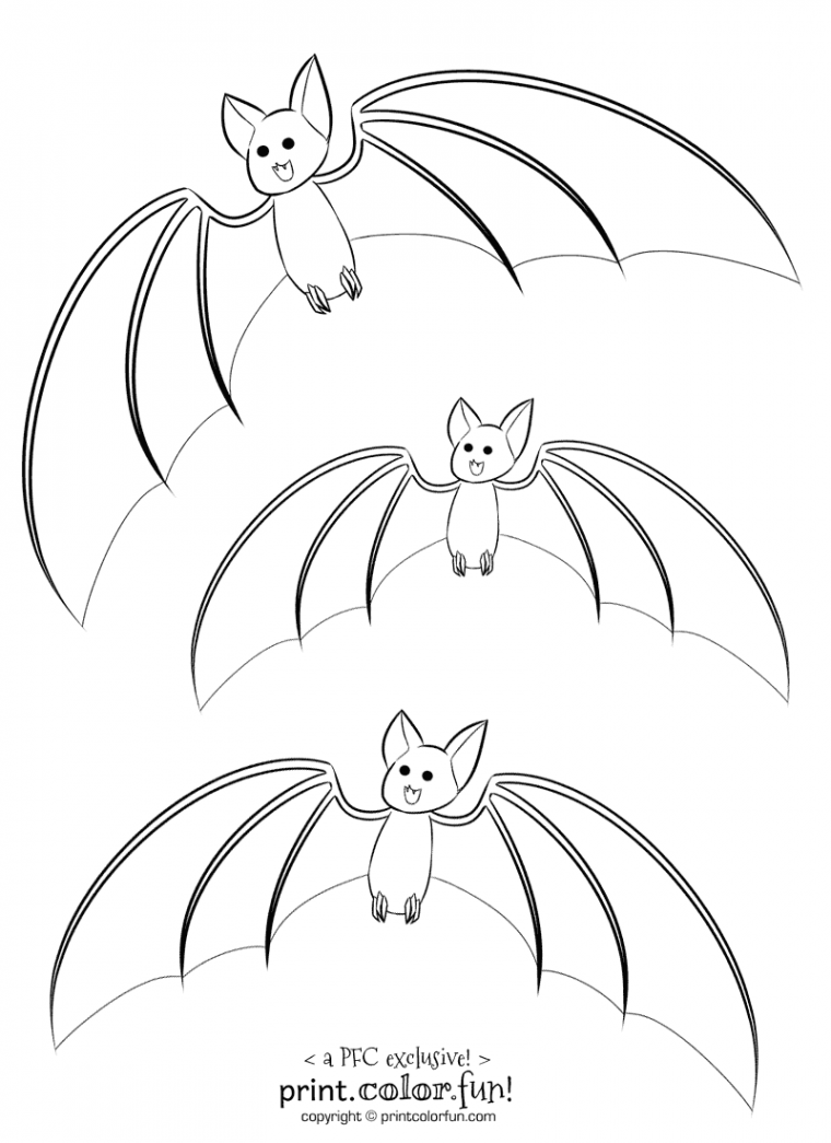 cute bat coloring page