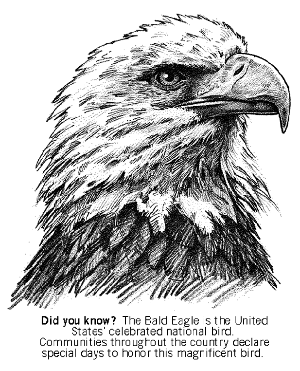 eagles coloring page