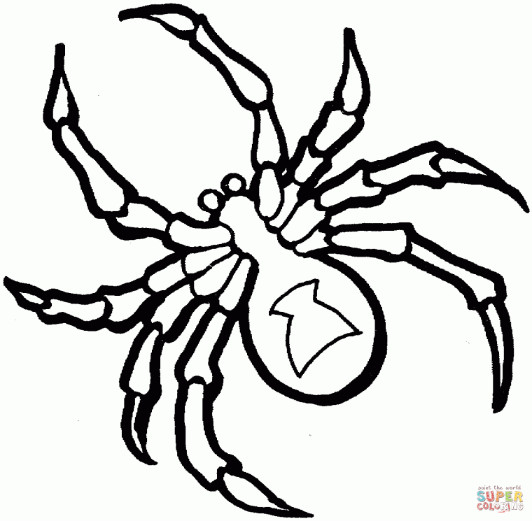 tarantula coloring pages