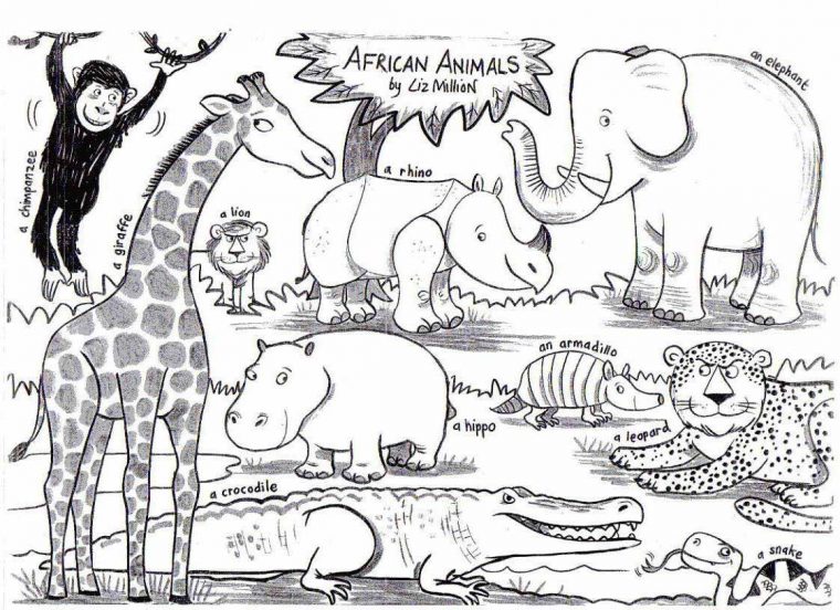 african safari coloring pages