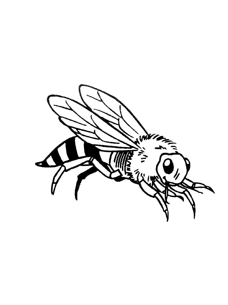 wasp coloring page
