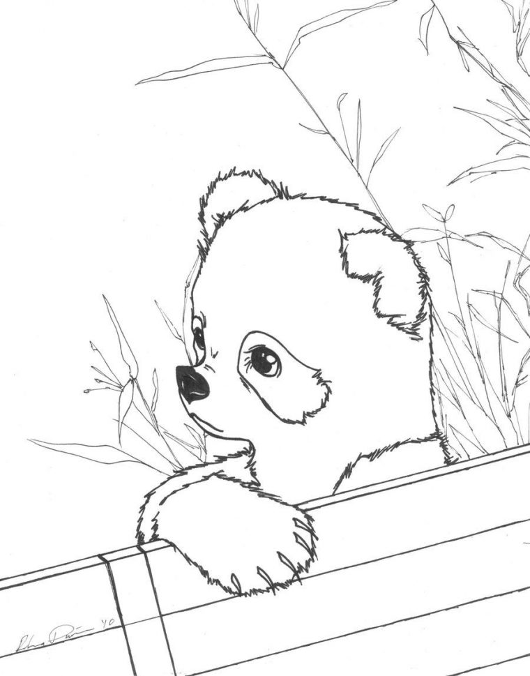 realistic panda coloring pages