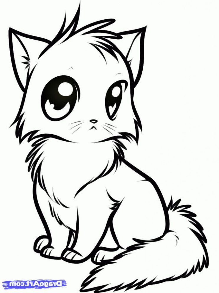 cat anime coloring pages