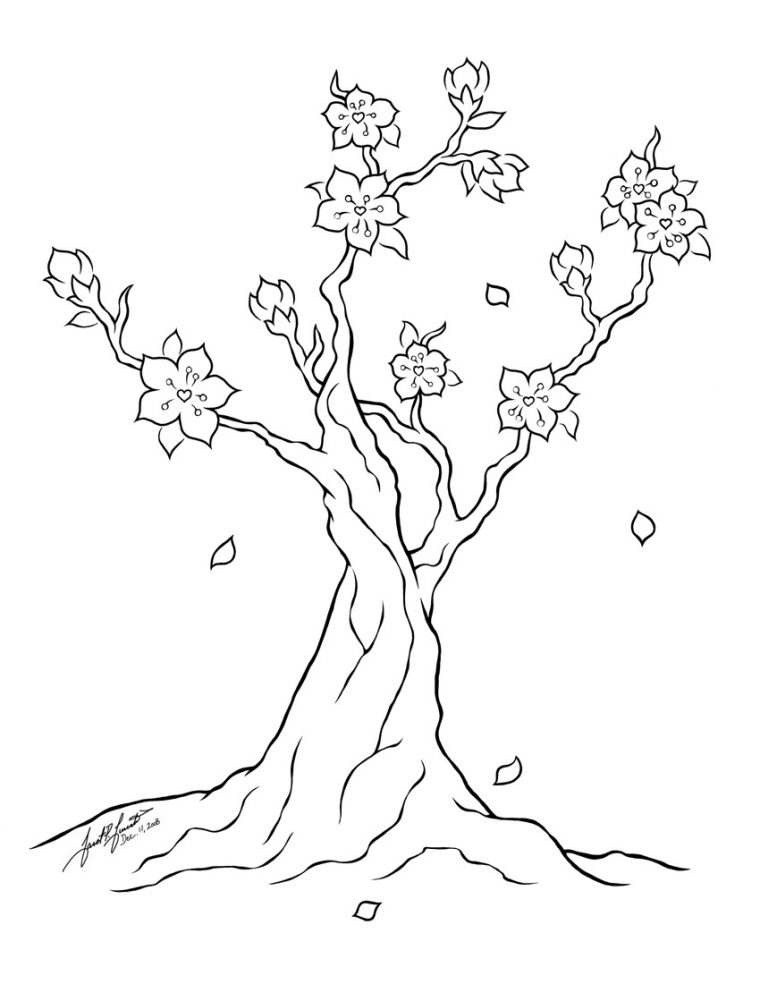 cherry blossom tree coloring page