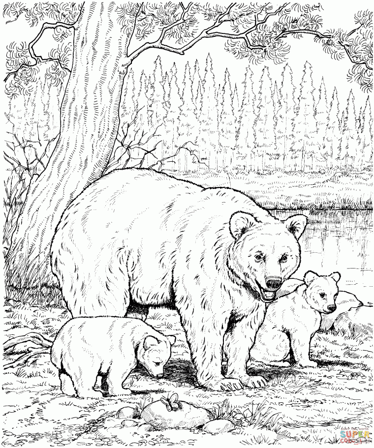 animal coloring pages hard