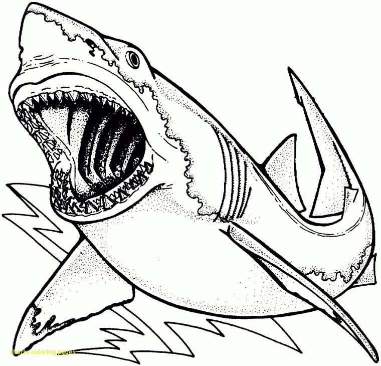 scary shark coloring pages