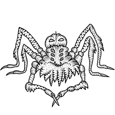 lucas the spider coloring pages