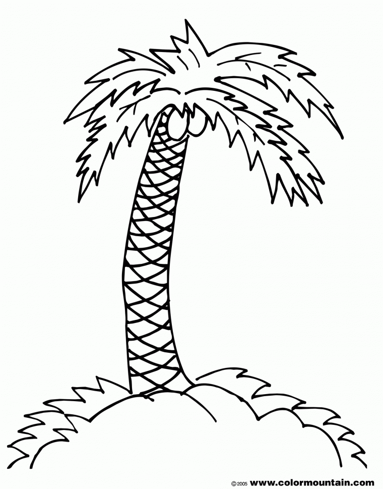 palm trees coloring pages