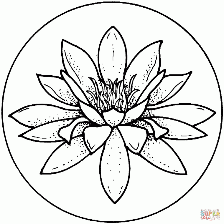 water lily coloring page