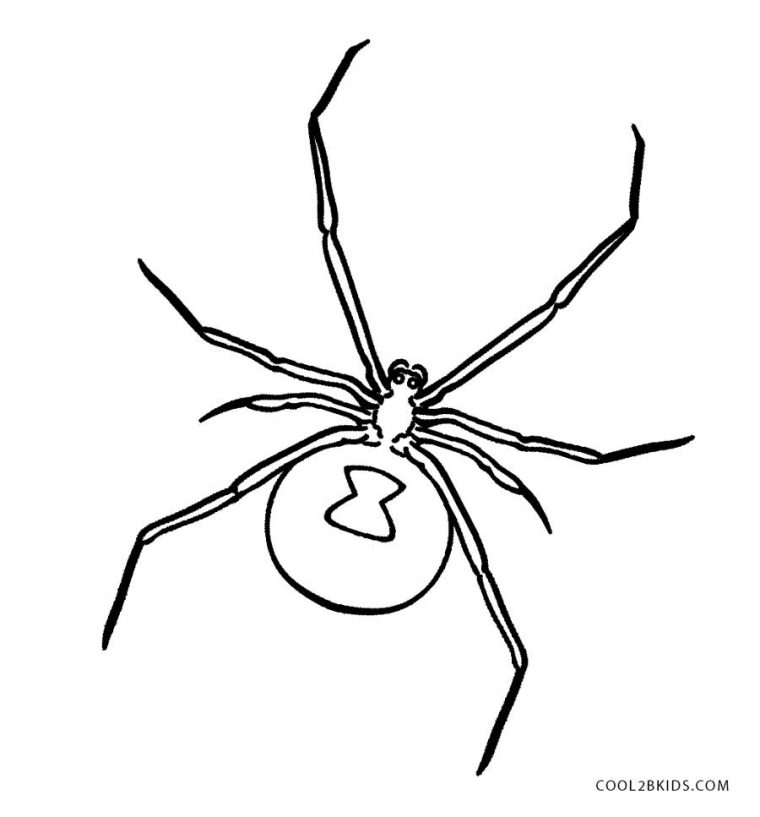 black widow spider coloring page