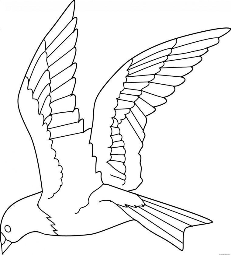 birds flying coloring pages