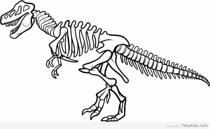 dinosaur skeleton coloring page