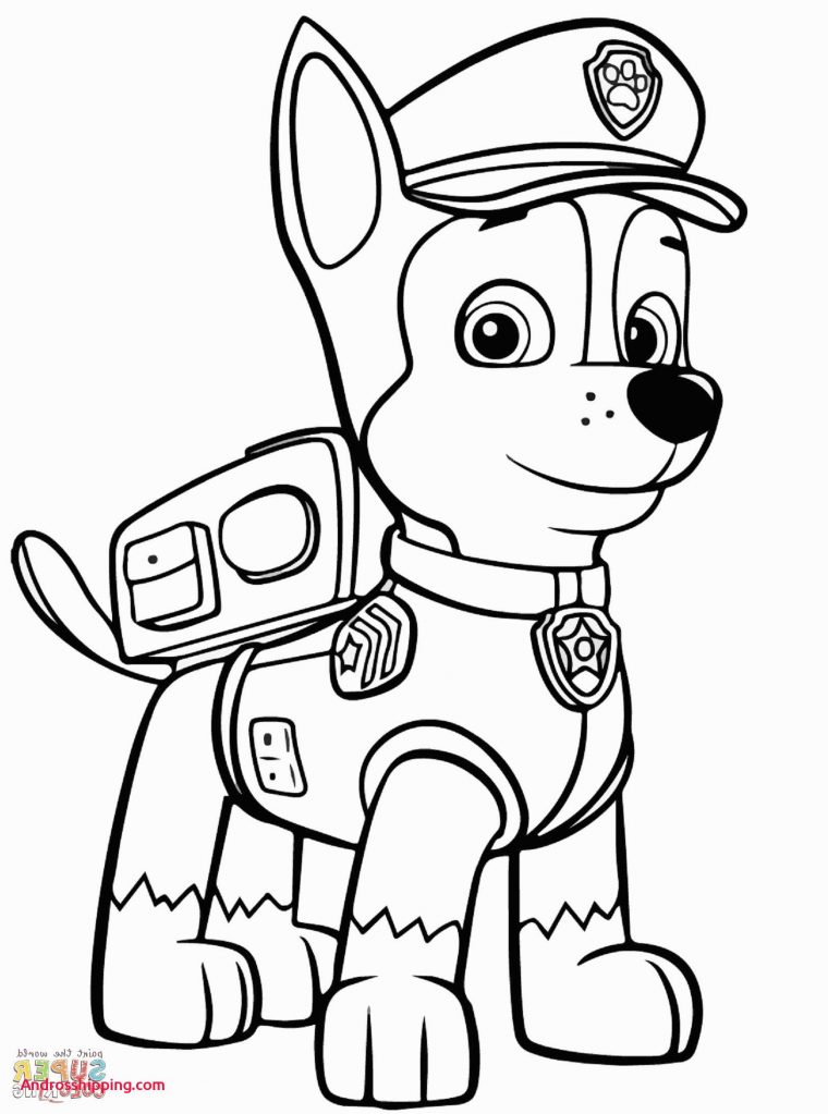 paw patrol rocky coloring page
