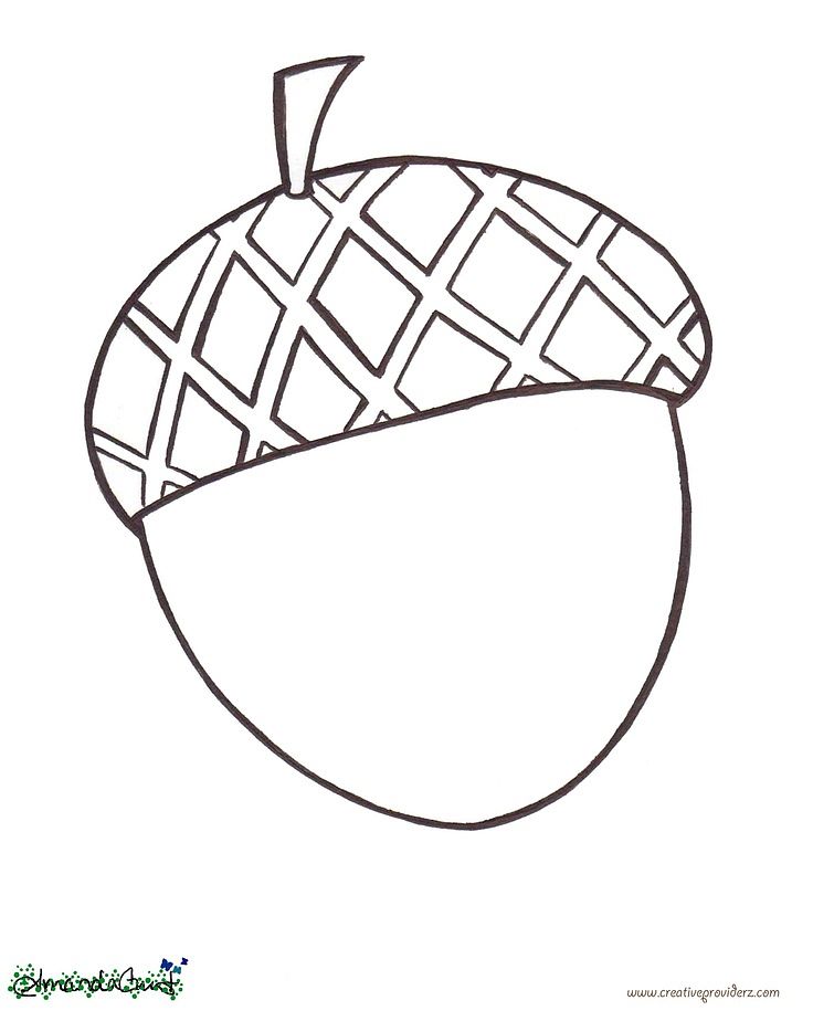 acorn coloring pages free printable