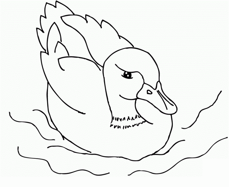 free duck coloring pages