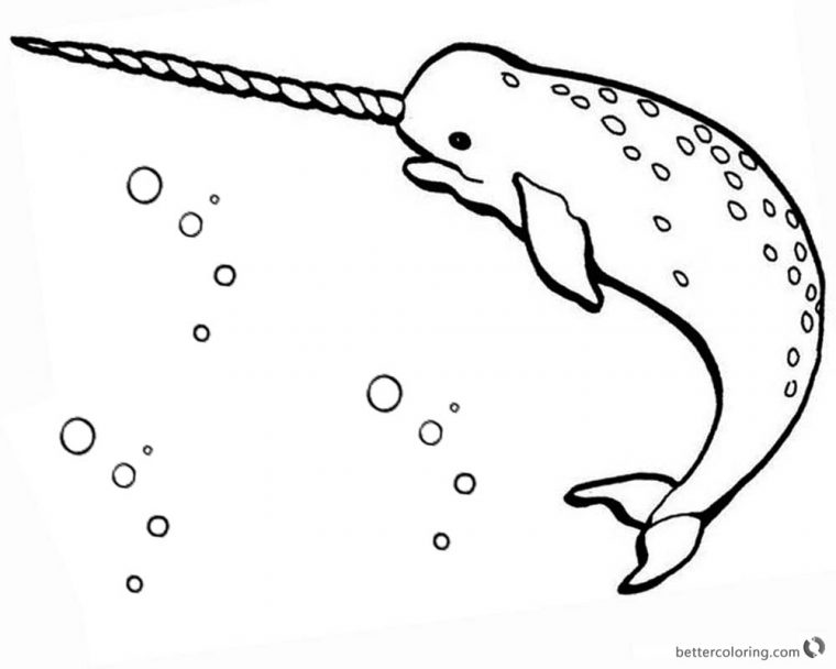 narwhals coloring pages