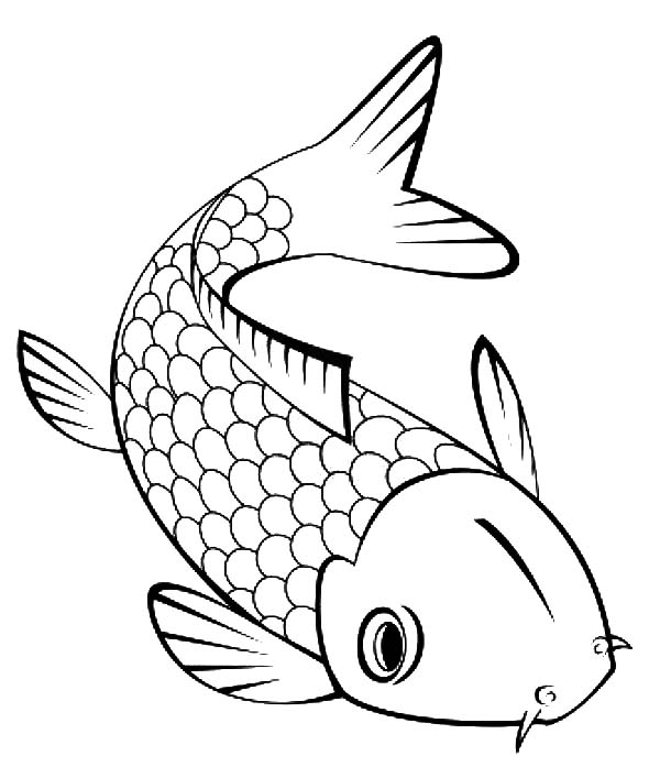 coy fish coloring pages