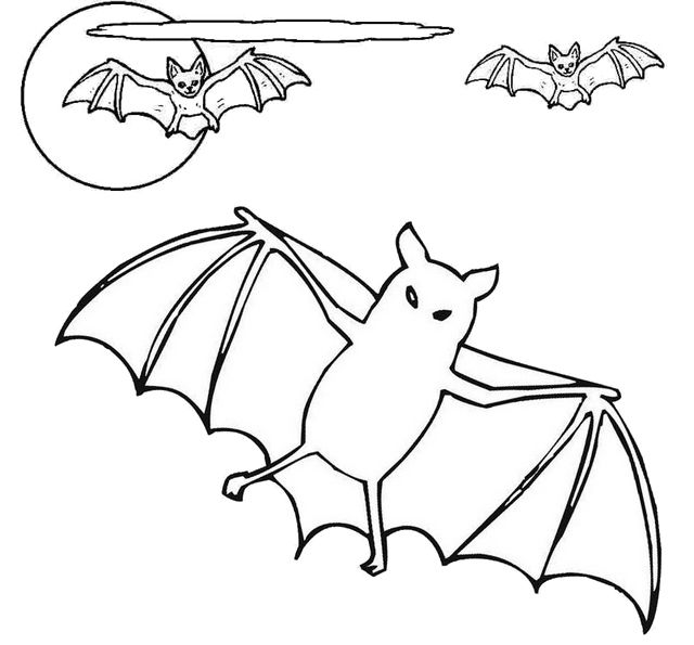 realistic bat coloring pages