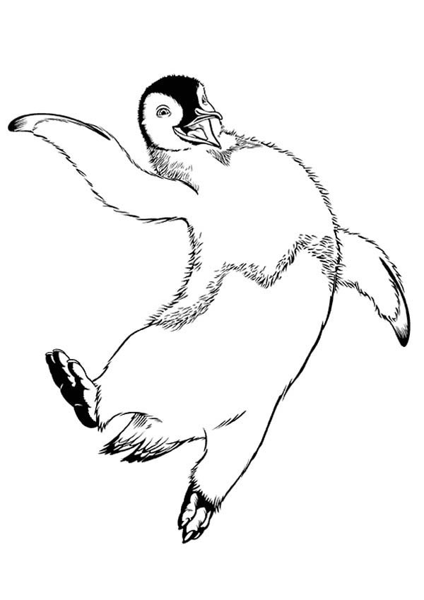 happy feet coloring pages