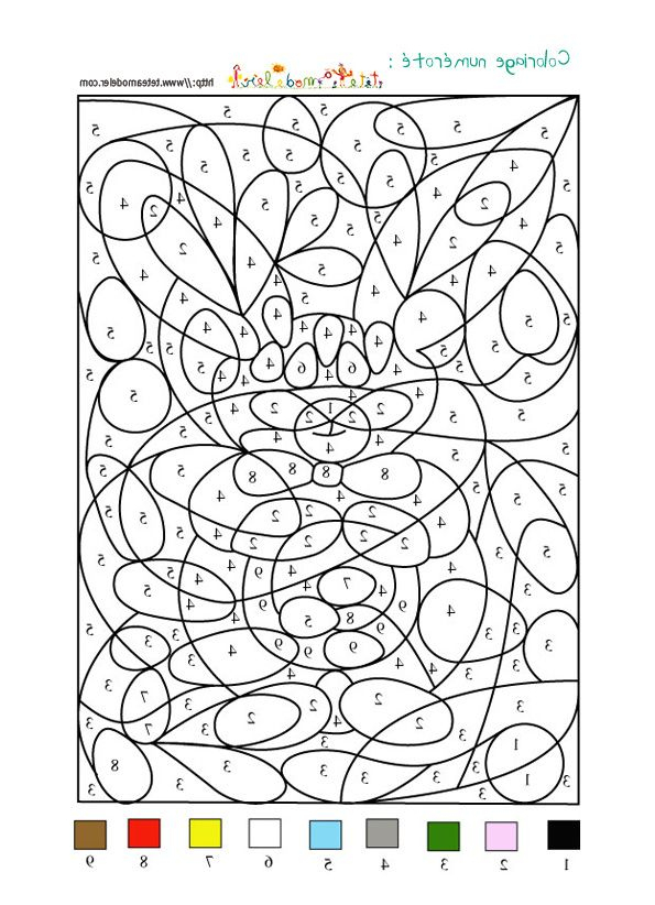 11 Amusant Coloriage Numero Pictures | Coloriage Numéroté concernant Coloriage À Numéro