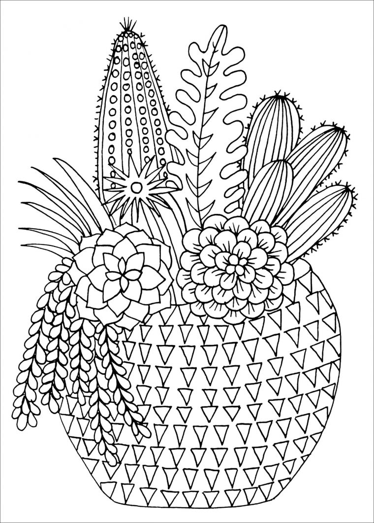 printable succulent coloring page