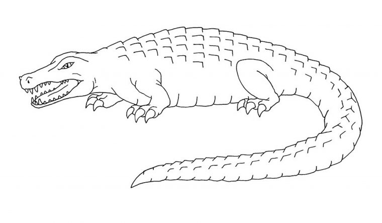 croc coloring pages