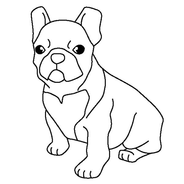 cute french bulldog coloring pages