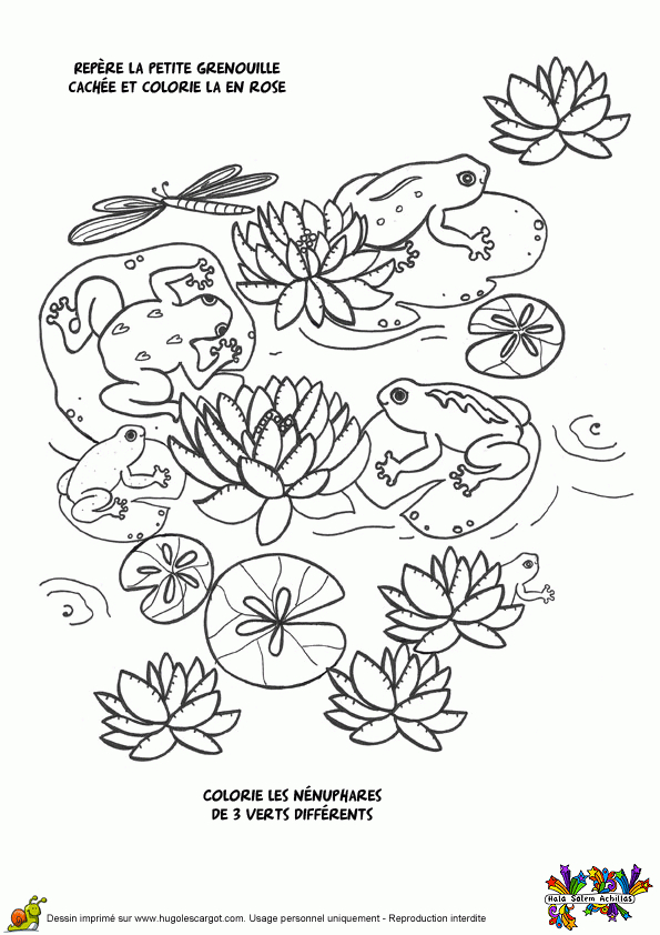 Coloriage Jeux Grenouilles Sur Hugolescargot pour Coloriage Jeux