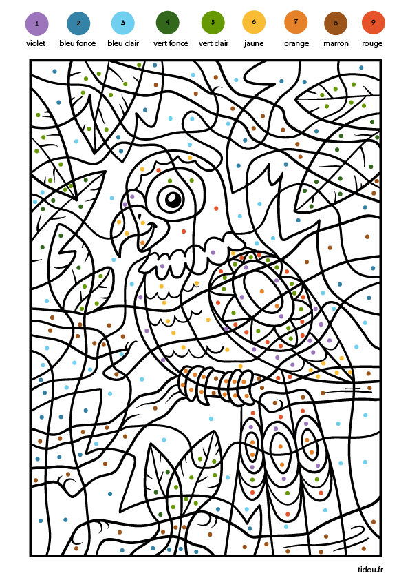 Coloriage Magique, Les Couleurs – Un Perroquet – Tidou.fr serapportantà Jeux De Coloriage Magique