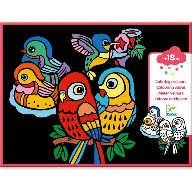 Coloriage Velours Oiseaux – Djeco – Saute Mouton encequiconcerne Coloriage Velours