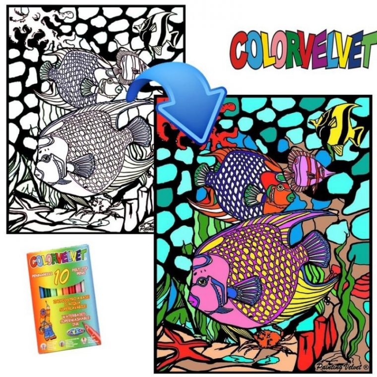 Coloriage Velours Poisson pour Coloriage Velours