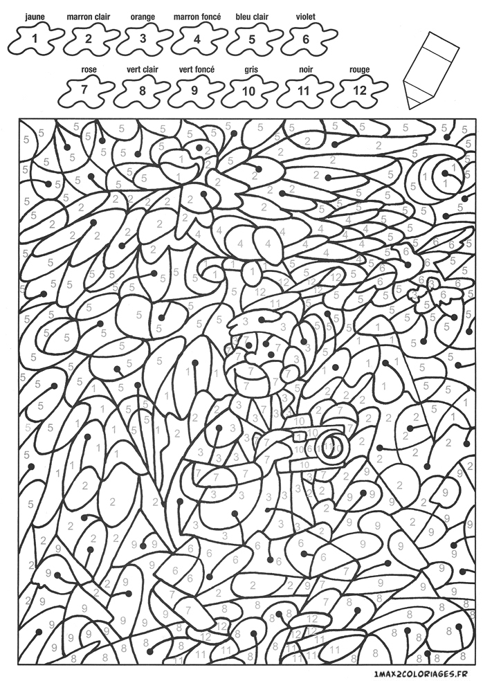 Colorier Avec Les Nombres Avec 12 Couleurs, Enzo En Safari avec Coloriage Par Nombre