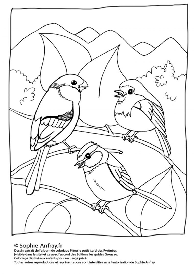 Monde Des Petits – Coloriages À Imprimer pour Site Pour Imprimer Des Coloriages