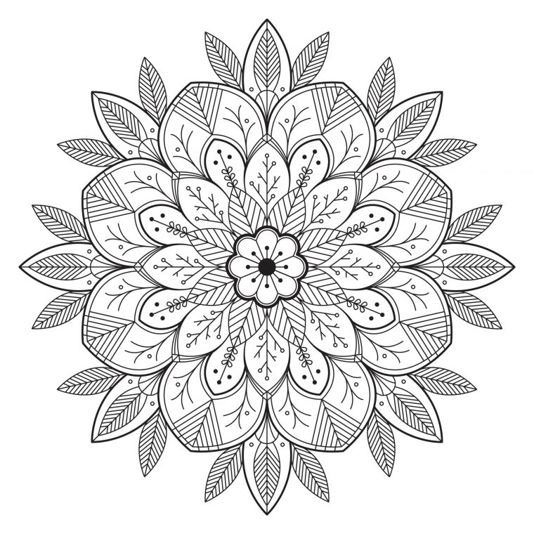 Simple Mandala Fleuri & Feuillu – Mandalas – Coloriages dedans Mandala Coloriage Adulte