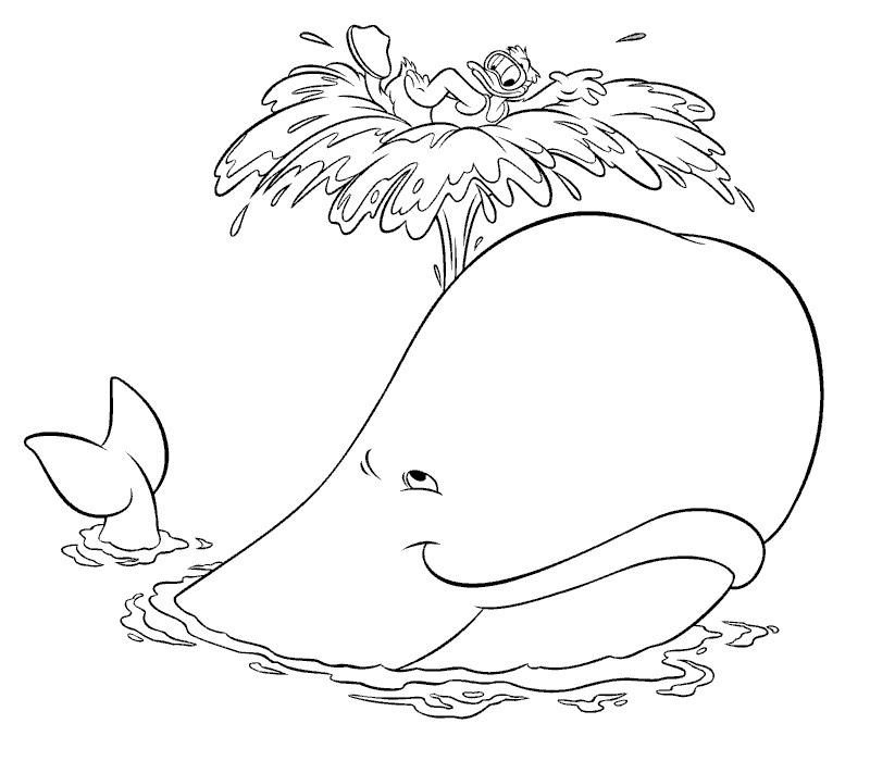 247 Dessins De Coloriage Baleine À Imprimer Sur Laguerche concernant Baleine Dessin Facile