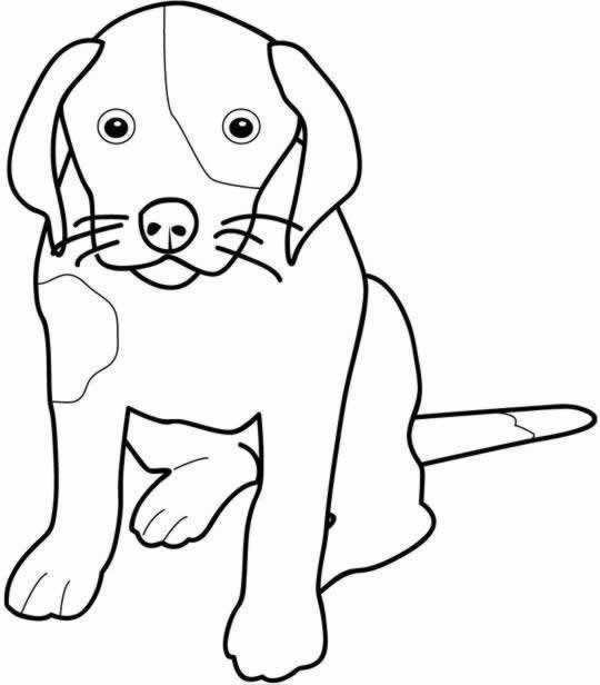 302 Dessins De Coloriage Chien À Imprimer Sur Laguerche avec Coloriage Chien Labrador