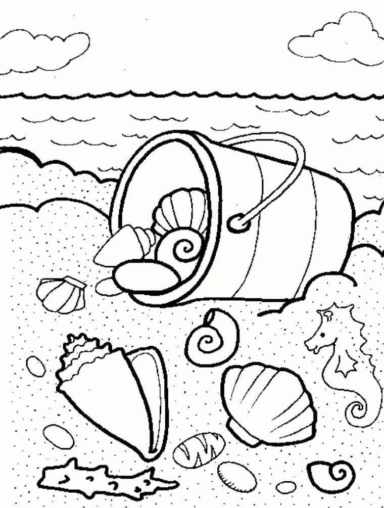 coloring pages seashells