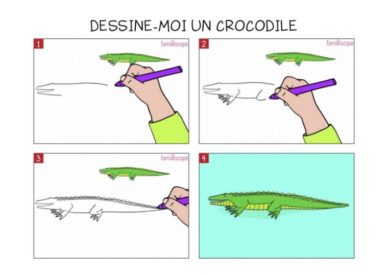 Apprendre À Dessiner Un Crocodile En 3 Étapes avec Comment Dessiner Un Avion Facile