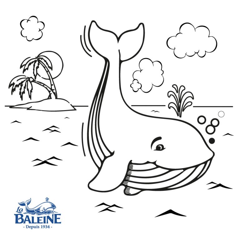 Baleine Dessin Kawaii ~ News Word intérieur Comment Dessiner Une Baleine