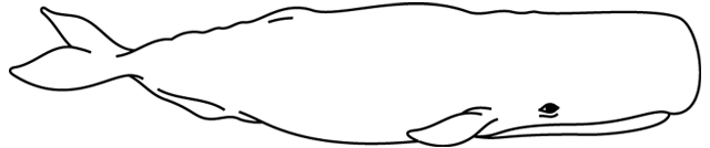 Coloriage À Imprimer : Une Baleine – Turbulus, Jeux Pour tout Dessiner Une Baleine