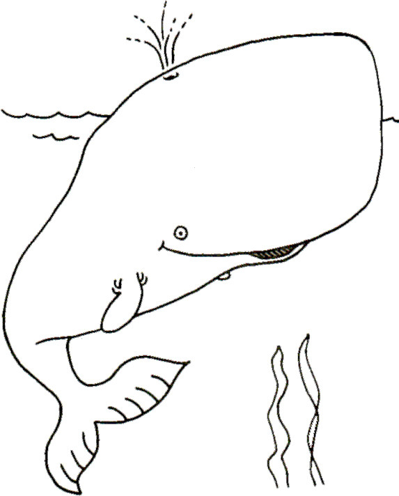 Coloriage Baleine Géante Dessin Gratuit À Imprimer intérieur Baleine Dessin Facile